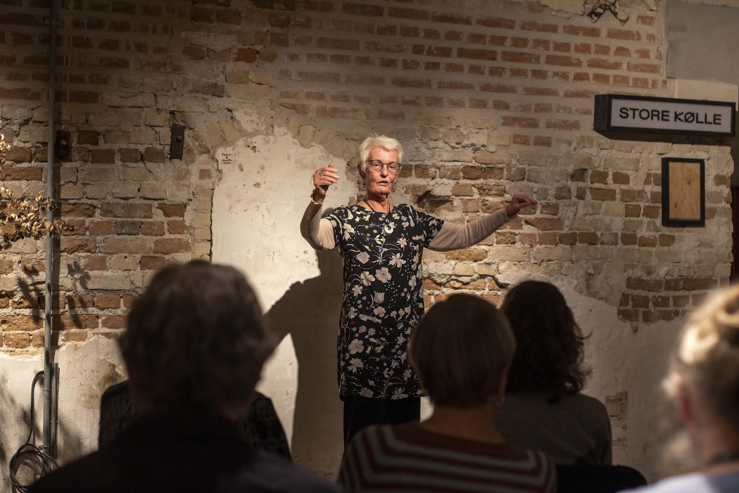 Lilian Kingo til fortælleraften på Maltfabrikken 15 april 2026 foto 43